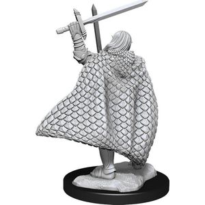 Wizkids: Pathfinder Battles - Deep Cuts - Elf Male Fighter