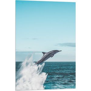 WallClassics - Vlag - Omhoogspringende Dolfijn in de Zee - 60x90 cm Foto op Polyester Vlag