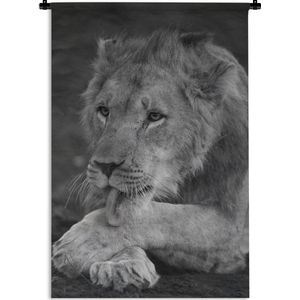 Wandkleed Leeuw in zwart wit - Leeuw die aan zijn poot likt Wandkleed katoen 90x135 cm - Wandtapijt met foto
