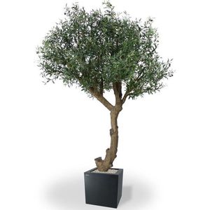 Olijf Giant Y stam kunstboom 270cm