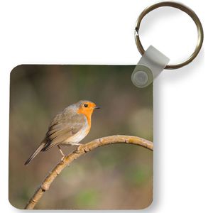 Sleutelhanger - Uitdeelcadeautjes - Roodborstje - Vogel - Natuur - Plastic