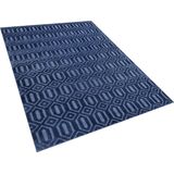 ADATEPE - Laagpolig vloerkleed - Blauw - 160 x 230 cm - Viscose