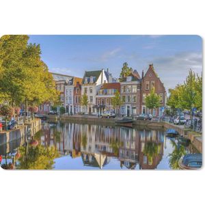 Bureau mat - Leiden - Boom - Kanaal - 60x40