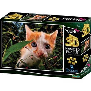 3D Image Puzzel - Pounce Pokemon (100)