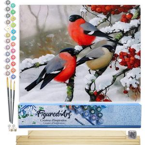 Figured'Art Schilderen op Nummer Volwassenen canvas Roodborstje in de winter - Handwerk acrylverf Kit DIY Compleet - 40x50cm met DIY houten lijst