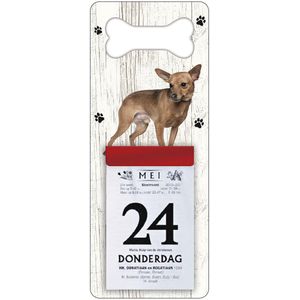Scheurkalender 2024 Hond: Dwergpinscher