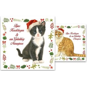 Kerstkaarten - Franciens katten - Poezen met kerstmuts - 2 motieven - 10 st.