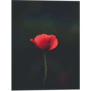 WallClassics - Vlag - Rode Eenzame Bloem - 30x40 cm Foto op Polyester Vlag