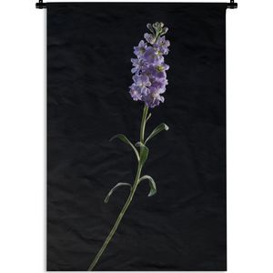 Wandkleed Planten op een zwarte achtergrond - Een paars gekleurde violette op een zwarte achtergrond Wandkleed katoen 120x180 cm - Wandtapijt met foto XXL / Groot formaat!