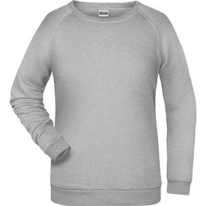 James And Nicholson Dames/dames Basic Sweatshirt (Grijze Heide)