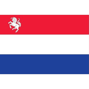 Vlag Nederland met inzet Twentse Ros 80x120cm