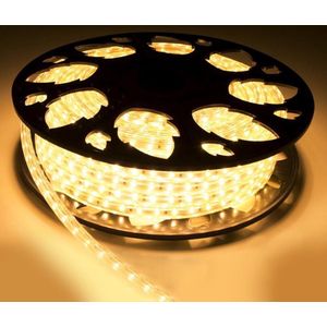 Lichtslang LED buiten – Warm wit - 100 meter - standaard lumen