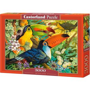 Interlude Puzzel (3000 stukjes) - Castorland