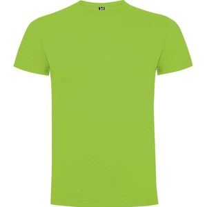 5 Pack Oasis Groen t-shirts Roly Dogo Premium Kids 12 jaar 146 - 152