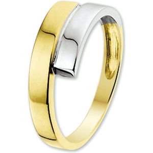 The Jewelry Collection Ring - Bicolor Goud