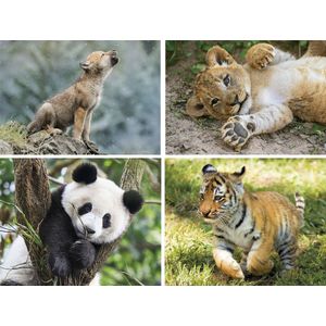 Clementoni Legpuzzel Wildlife 4 Puzzels 20/60/100/180 Stukjes