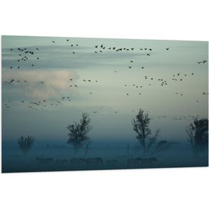 WallClassics - Vlag - Paarden in de Mist - 120x80 cm Foto op Polyester Vlag