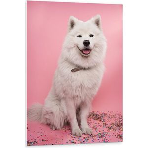 WallClassics - PVC Schuimplaat - Portret van Witte Hond tegen Roze Achtergrond met Confetti - 80x120 cm Foto op PVC Schuimplaat (Met Ophangsysteem)