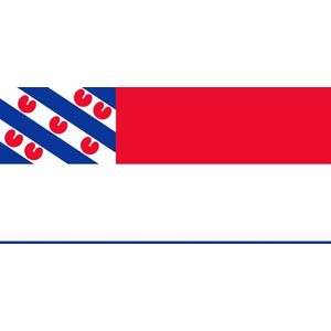 Vlag Nederland met inzet Friese vlag 50x75cm