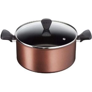 Tefal Recource Hoogwaardig 100% Aluminium Non-Stick Kookpan Met Deksel - 24 cm