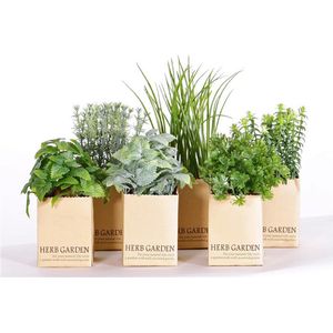 6 stuks - Kruidenmix - kunstplanten - in pot klein - 15-20 cm - 6 plantjes