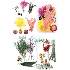 Natuurlijke Gedroogde Bloemen en Bladeren - Geschikt voor het Maken van Tassen Ornamenten (2 Stuks)