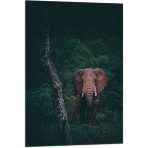 WallClassics - Vlag - Olifant in de Jungle - 60x90 cm Foto op Polyester Vlag