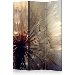 Vouwscherm - Kamerscherm - Kus van de paardenbloem 135x172cm , gemonteerd geleverd, dubbelzijdig geprint