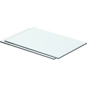 The Living Store Glazen Schap - 40 x 20 cm - 15 kg draagvermogen