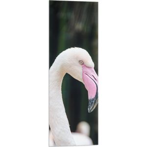 WallClassics - Vlag - Witte Flamingo met Roze Snavel - 30x90 cm Foto op Polyester Vlag