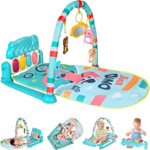 Baby Gym En Activity Gym - Met Speelmat - Inclusief Piano Met Rammelaars Roze