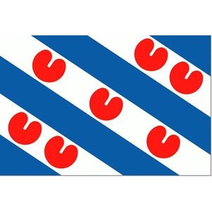 Friese vlag 200x300cm