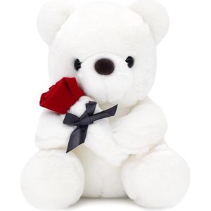 Witte beer 25 cm - Beer Pluche Wit met rode roos - knuffel - 25 cm - Teddy Beer - Valentijnsdag - Moederdag - Verjaardag - Valentijn - Valentijnsdagcadeau - Moederdagcadeau