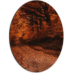 WallClassics - Dibond Ovaal - Bospad Vol met Bruine Herfst Bladeren - 30x40 cm Foto op Ovaal (Met Ophangsysteem)