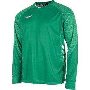 Hummel Orlando Keepershirt Lange Mouw Heren - Groen | Maat: XL