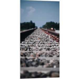 WallClassics - PVC Schuimplaat- Close-up van Stenen op het Spoor - 50x100 cm Foto op PVC Schuimplaat