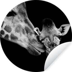 WallCircle - Behangcirkel - Zelfklevend behang - Wilde dieren - Giraffe - Familie - Zwart - Wit - 140x140 cm - Behangcirkel kinderkamer - Behang cirkel