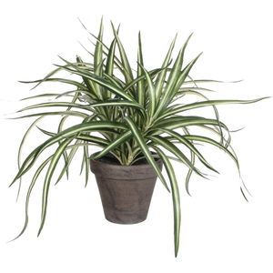 Mica Decorations Dracaena Kunstplant in Bloempot Stan - H34 x Ø40 cm - Wit