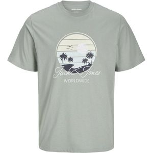 JACK&JONES JJPALM TEE SS CREW NECK LN Heren T-shirt - Iceberg Green