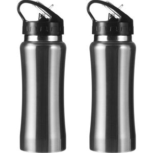 Set van 2x stuks drinkfles/waterfles 600 ml metallic zilver van RVS - Sport bidon waterflessen