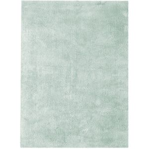 Floraya - Vloerkleed Snuggle - Mintgroen - 120 x 170 cm - Hoogpolig - Tapijt