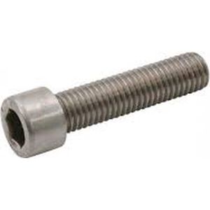 Inbusbout m5x16 RVS. Per 500