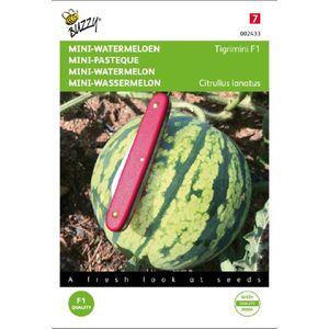 Buzzy - Mini Watermeloen Tigrimini F1 6 zaden