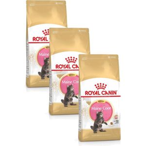 Royal Canin Maine Coon Kitten - Kattenvoer - 3 x 2 kg