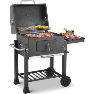 Gran Vida® - Houtskool BBQ Grillwagen - In Hoogte Verstelbaar - Met Deksel en Thermometer - 113x53,5x100 cm - Voor Camping en Tuin