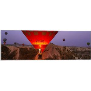 WallClassics - Vlag - Luchtballonnen bij Bergen - 60x20 cm Foto op Polyester Vlag