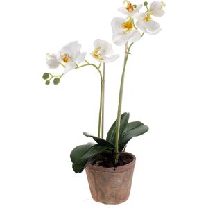 Kunstbloem Orchidee 42cm wit in ronde pot 11cm