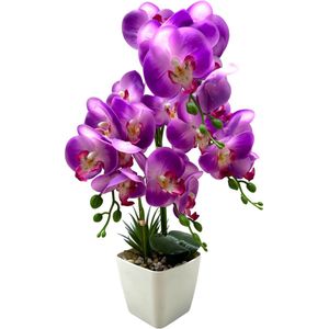 Orchidee Paars Kunstbloem Met Witte Pot 55cm | Flora City | Kunstbloem kunstplant | Kunstorchidee | Nep orchidee | Levensechte Kunstorchidee