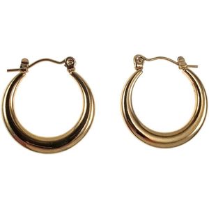 ∅22mm Oorringen Dames - Verguld RVS - Goudkleurige Oorbellen