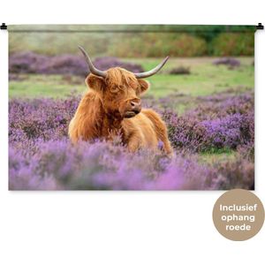 Wandkleed Schotse hooglander - Een Schotse hooglander ligt tussen de paarse bloemen Wandkleed katoen 150x100 cm - Wandtapijt met foto